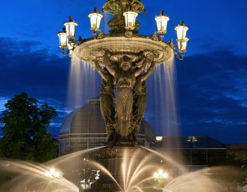 MAMI COMO SE DICE FOUNTAIN