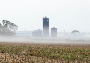 SILOS