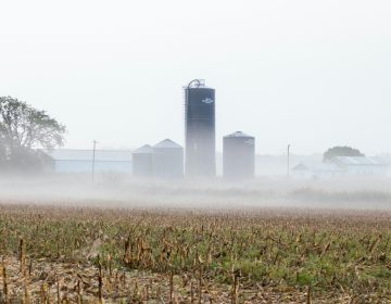 SILOS