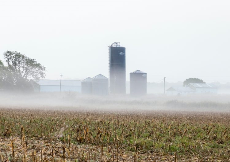 SILOS