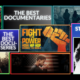 Images via PBS, Hulu, Showtime, HBO MAX, FX