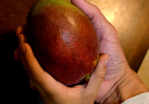 Un mango maduro de dolor compartido