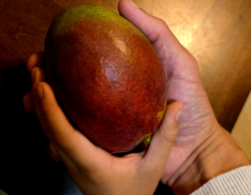 Un mango maduro de dolor compartido