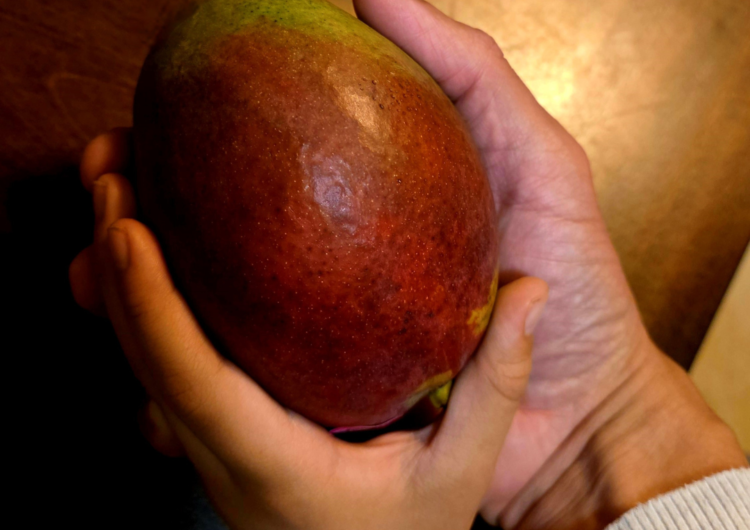 Un mango maduro de dolor compartido